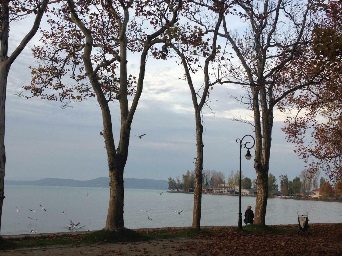 Tamas Apartman Balatonfoeldvar Sziveben- Egesz Evben Nyitva! Exteriér fotografie