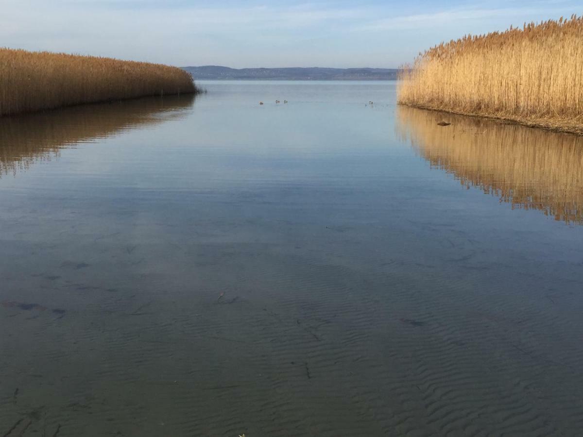 Tamas Apartman Balatonfoeldvar Sziveben- Egesz Evben Nyitva! Exteriér fotografie